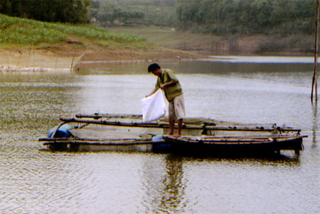 Nhờ chăn nuôi thủy sản mà gia đình ông Đồng đã thoát nghèo và vươn lên làm giàu.
