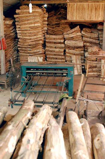 Xưởng chế biến gỗ của gia đình anh Hoàng Văn Sự có thời điểm phải tạm ngừng sản xuất.