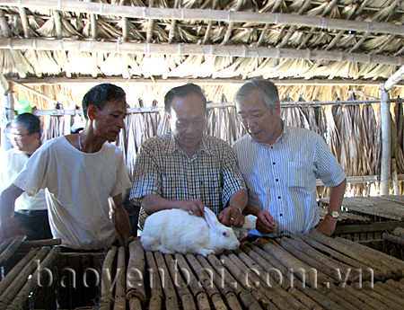 Ông Yamane (người ngoài cùng bên phải) và Phó giáo sư, tiến sĩ Đinh Văn Bình (người đứng giữa) thăm trại thỏ của hộ ông Bùi Quốc Trị, thôn Bảo Long, xã Bảo Hưng (Trấn Yên)