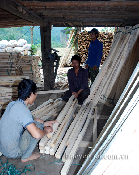 Sản phẩm gỗ rừng trồng của người dân cung cấp nguyên liệu cho các cơ sở chế biến gỗ trên địa bàn xã.