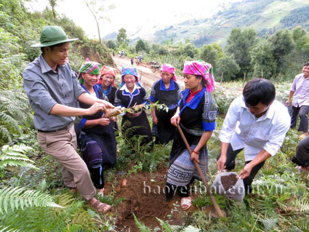 Trung tâm Phát triển khoa học công nghệ chăm sóc sức khỏe cộng đồng, hướng dẫn trồng cây sơn tra cho người dân tại huyện Mù Cang Chải.