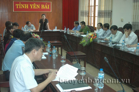 Đồng chí Ngô Thị Chinh - Phó chủ tịch UBND tỉnh Yên Bái phát biểu tại buổi làm việc.