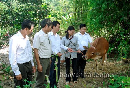 Cán bộ Ủy ban MTTQ tiỉh và huyện Văn Chấn kiểm tra công tác xóa đói giảm nghèo tại xã Đồng Khê.