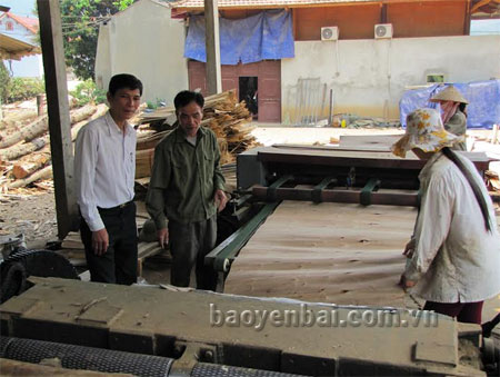 Xưởng bóc gỗ của hội viên Nguyễn Xuân Đông tạo thu nhập ổn định và giải quyết việc làm cho nhiều lao động.