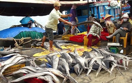 Bộ Công Thương công bố đường dây nóng phối hợp với địa phương thu mua hải sản đánh bắt xa bờ của ngư dân.