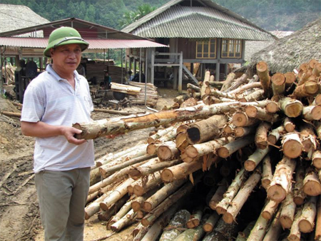 Nguyên liệu tại chỗ dồi dào nên xưởng gỗ bóc của ông Thành sản xuất khá ổn định.