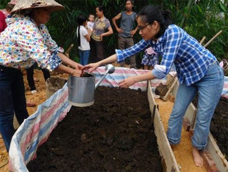 Cán bộ Trung tâm Nghiên cứu Nông nghiệp Nhiệt đới quốc tếCIAT hướng dân người dân nuôi giun quế.