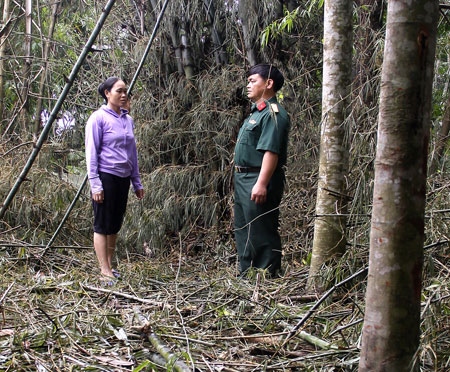 Gia đình bà Sầm Thị Cương ủng hộ trên 150 cây tre phục vụ đợt diễn tập.