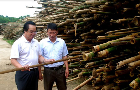 Ông Trần Công Bình kiểm tra nguyên liệu đầu vào tại Nhà máy Giấy Yên Bình.