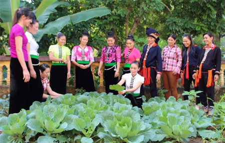 Chị em phụ nữ tích cực trao đổi kỹ thuật trồng, chăm sóc rau.