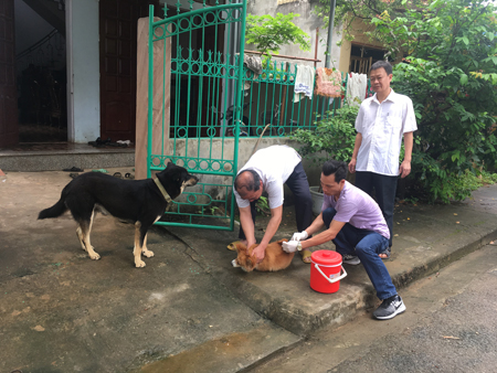 Cán bộ thú y huyện Trấn Yên tiêm vắc-xin phòng bệnh dại cho chó trên địa bàn.