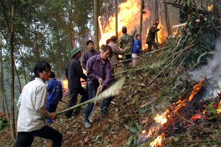 Diễn tập phòng cháy chữa cháy rừng tại huyện Yên Bình. (Ảnh: Đức Toàn)