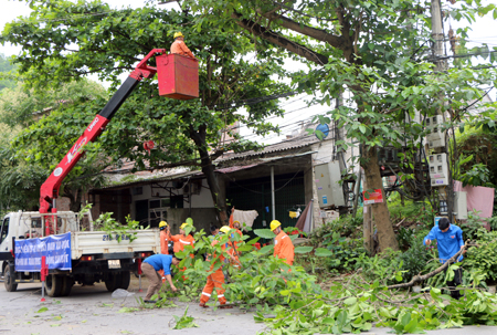 Công nhân Điện lực Yên Bình chặt tỉa cây cối trong và ngoài hành lang lưới điện, bảo đảm hệ thống điện luôn an toàn trong mùa mưa bão.