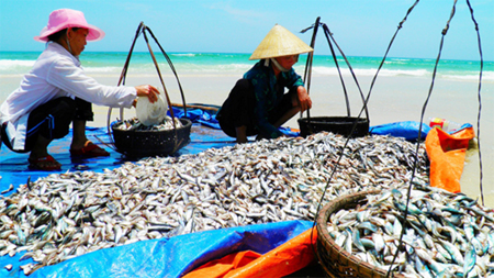 Bộ Y tế tuyên bố thủy sản 4 tỉnh miền Trung đã an toàn.