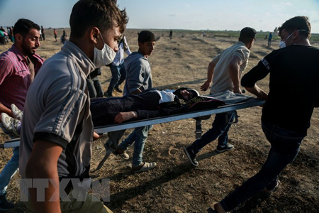 Chuyển người biểu tình Palestine bị thương trong xung đột với binh sỹ Israel tại khu vực biên giới Dải Gaza với Israel ngày 15/5.