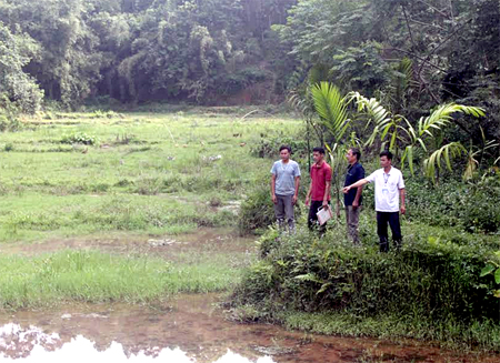 Tràn ruộng Đầm Luông, thôn 5 bị nước ngập, các hộ dân không thể sản xuất được.