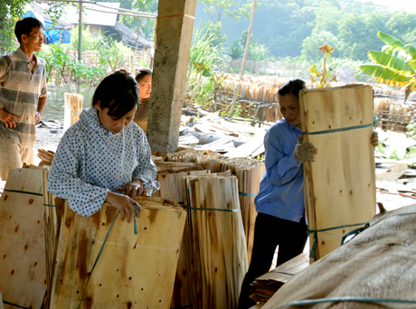 Sản xuất gỗ rừng trồng là một trong những sản phẩm chính. Ảnh MQ