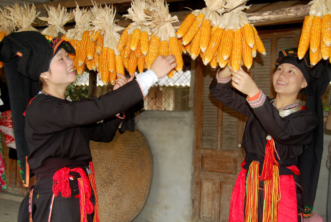 Người dân tộc Dao, huyện Văn Yên.