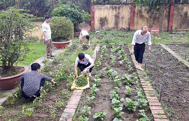 Cán bộ, đoàn viên CĐCS cơ quan Thanh tra tỉnh chăm sóc vườn rau tại cơ quan.