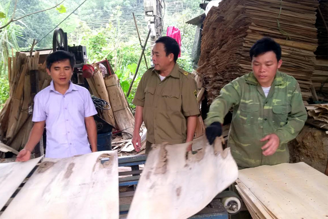 Anh Nguyễn Văn Tùng (áo trắng) - kiểm tra chất lượng sản phẩm ván bóc.