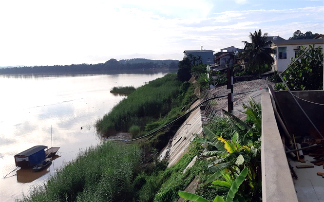 Một đoạn đỉnh kè sông Hồng trên địa bàn phường Nguyễn Phúc. (Ảnh Nguyễn Thanh)