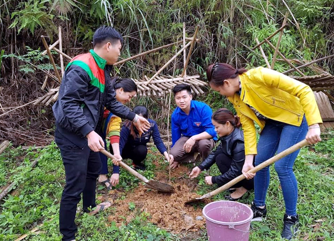 Tuổi trẻ xã Khánh Hòa trồng cây bóng mát trên tuyến đường trung tâm xã.