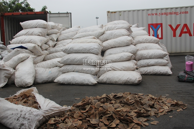 8,3 tấn vảy tê tê được vận chuyển từ châu Phi về cảng Hải Phòng.