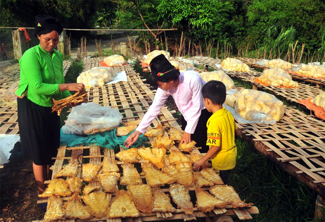 Măng mai - sản phẩm thế mạnh của xã Lâm Thượng, huyện Lục Yên.