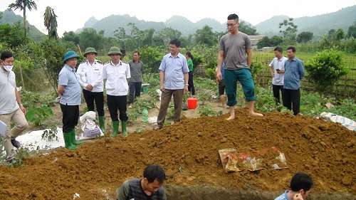Đồng chí Hoàng Xuân Đán - Phó chủ tịch UBND huyện chỉ đạo công tác tiêu hủy lợn bị dịch tả lượn Châu Phi tại xã Khai Trung.