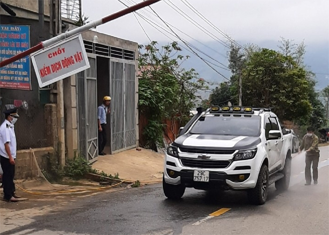 Lực lượng chức năng phun tiêu độc khử trùng phương tiện giao thông vào địa bàn huyện tại chốt kiểm dịch động vật xã Cao Phạ.