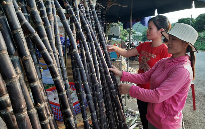 Sản phẩm mía tím ở Thanh Lương được người tiêu dùng ưa chuộng.