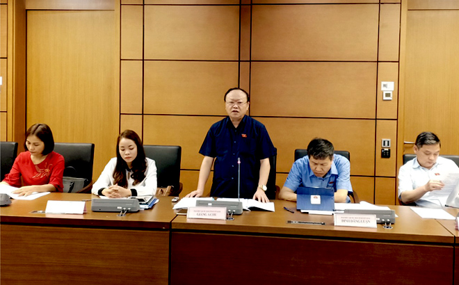 Đại biểu Quốc hội Giàng A Chu - Phó chủ tịch Hội đồng Dân tộc phát biểu tại phiên thảo luận ở tổ sáng 22/5.