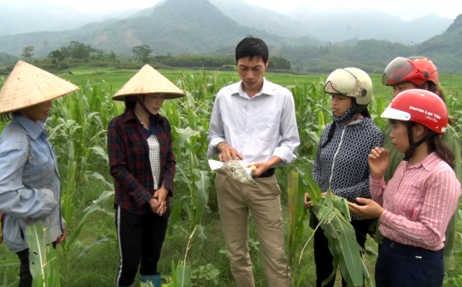 Cán bộ Trung tâm Hỗ trợ, dịch vụ phát triển nông nghiệp Lục Yên cùng người dân xem xét các loại thuốc trừ đã dùng. Ảnh Quang Tuấn