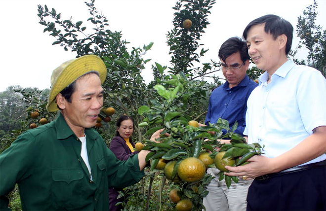 Đồng chí Hoàng Hữu Độ - Bí thư Huyện ủy Lục Yên thăm mô hình nông dân sản xuất giỏi xã Khánh Hòa.