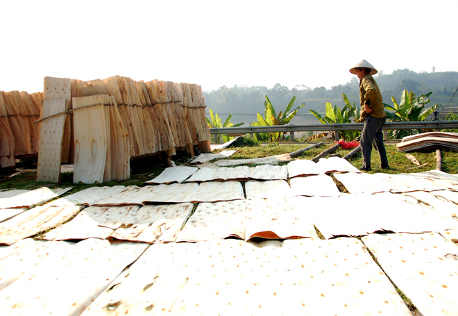 Người dân ở nhiều xã của huyện Văn Yên có thu nhập cao nhờ chế biến gỗ rừng trồng. Ảnh MQ