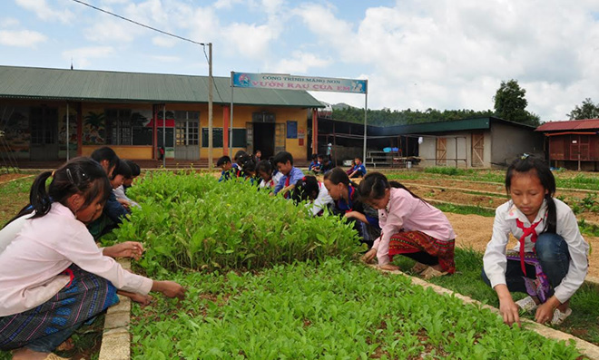 Mô hình trường học nông trại của Trường PTDTBT Tiểu học Nậm Khắt, huyện Mù Cang Chải.