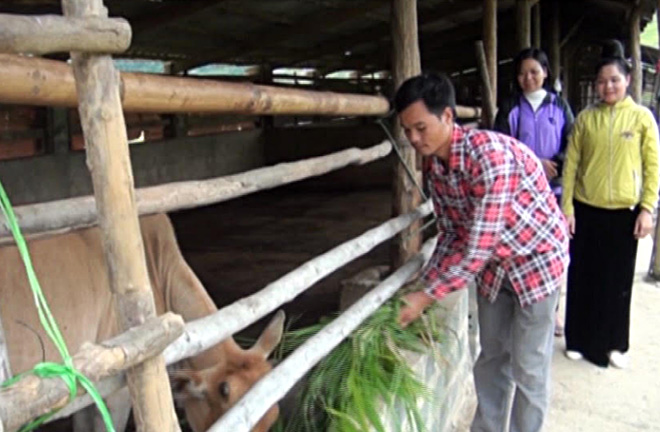 Gia đình anh Hoàng Đình Văn phát triển chăn nuôi gia súc, mang lại thu nhập cao.
