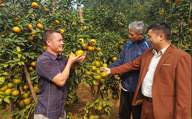 Người dân cần áp dụng quy trình sản xuất theo tiêu chuẩn VietGAP để có sản phẩm xuất khẩu.