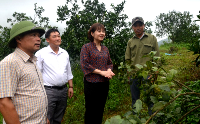 Phó Chủ tịch HĐND tỉnh Hoàng Thị Thanh Bình giám sát việc thực hiện chính sách hỗ trợ sản xuất nông nghiệp tại xã Hồng Ca, huyện Trấn Yên.