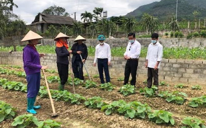 Lãnh đạo xã Đại Lịch thăm mô hình trồng dưa tại thôn Bằng Là 1