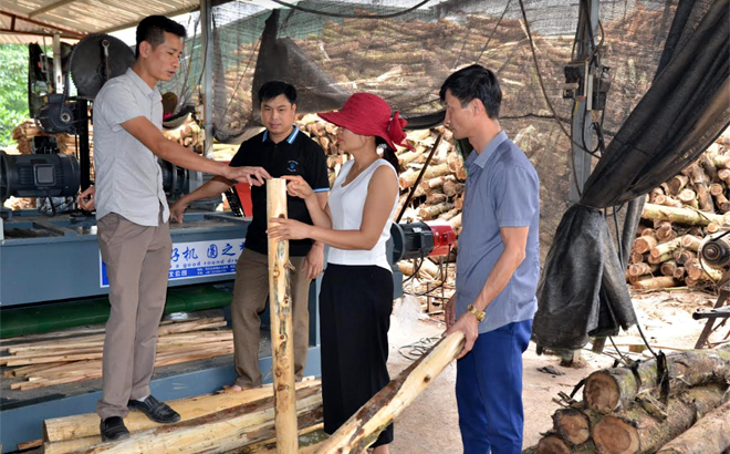 Lãnh đạo xã Hán Đà thăm mô hình điển hình gỗ ván bóc của gia đình bà Nguyễn Thị Hạnh, thôn Tân Lập.
