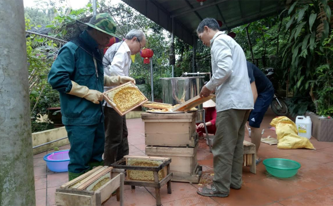 Mô hình nuôi ong của gia đình đoàn viên Hoàng Minh Cừ ở thôn Thanh Niên cho thu nhập ổn định.
