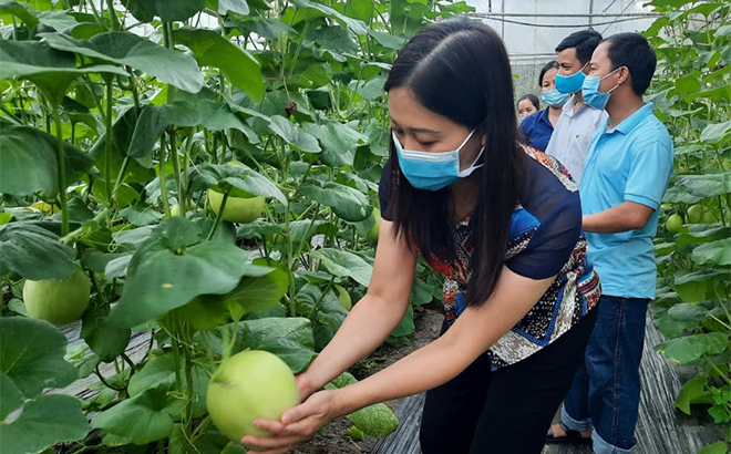 Lãnh đạo Hội Nông dân huyện Lục Yên thăm mô hình phát triển kinh tế của hội viên sau khi đã được đào tạo nghề.