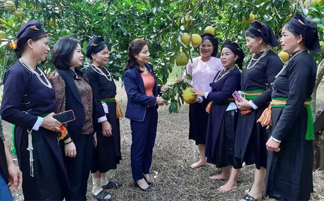 Cán bộ Hội Phụ nữ huyện Lục Yên thăm mô hình trồng cây ăn quả của hội viên.