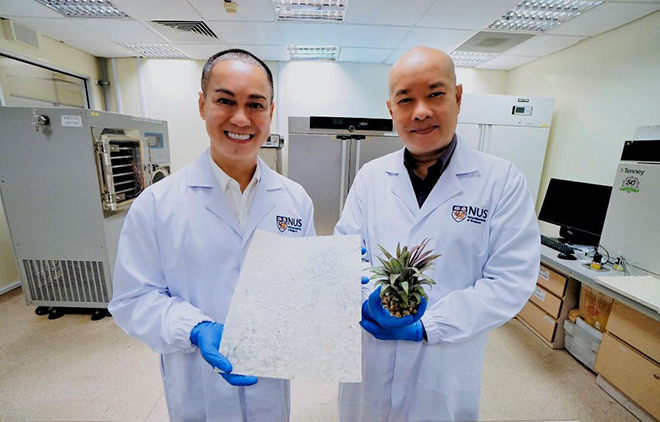 PGS Dương Minh Hải (bên trái) và PGS Phan Toàn Thắng, Đại học NUS, công bố nghiên cứu chất giảm béo từ lá dứa.