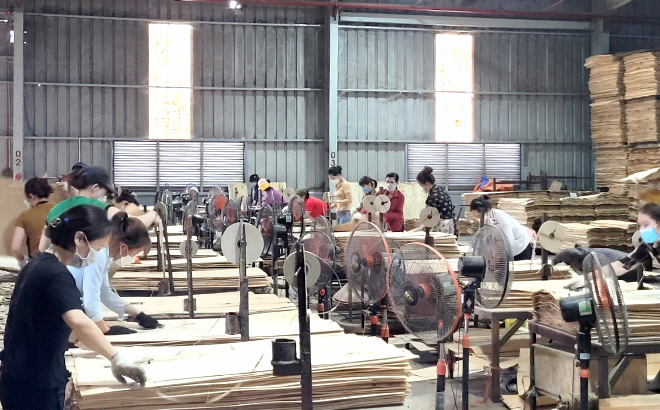 Công ty TNHH ngành gỗ Thiên An đảm bảo an toàn vệ sinh lao động.
