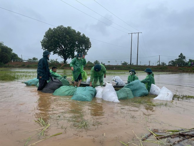 Khu vực ngoại thành Hà Nội bị ngập khoảng 4.000 ha lúa và hoa màu do mưa lớn dồn dập