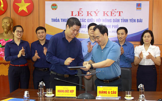 Đồng chí Giàng A Câu - Chủ tịch Hội Nông dân tỉnh và lãnh đạo Công ty Bảo hiểm PVI Vĩnh Phú ký kết thỏa thuận hợp tác.