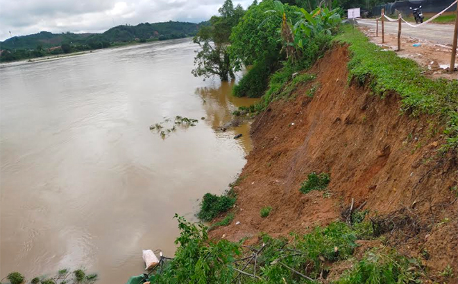 Trận mưa kéo dài những ngày qua đã làm sạt lở bờ sông ở xã Quy Mông, huyện Trấn Yên với chiều dài khoảng 30m. (Ảnh: Thanh Tiến - Trung tâm TTVH Trấn Yên)