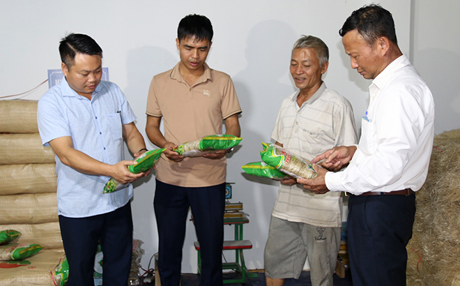 Ông Nguyễn Danh Toàn (người thứ 2, từ phải sang) giới thiệu sản phẩm miến trắng thái được bán trên sàn thương mại điện tử Postmart.vn.